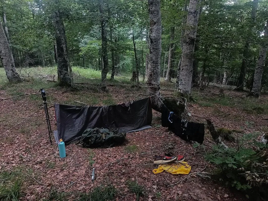 camp