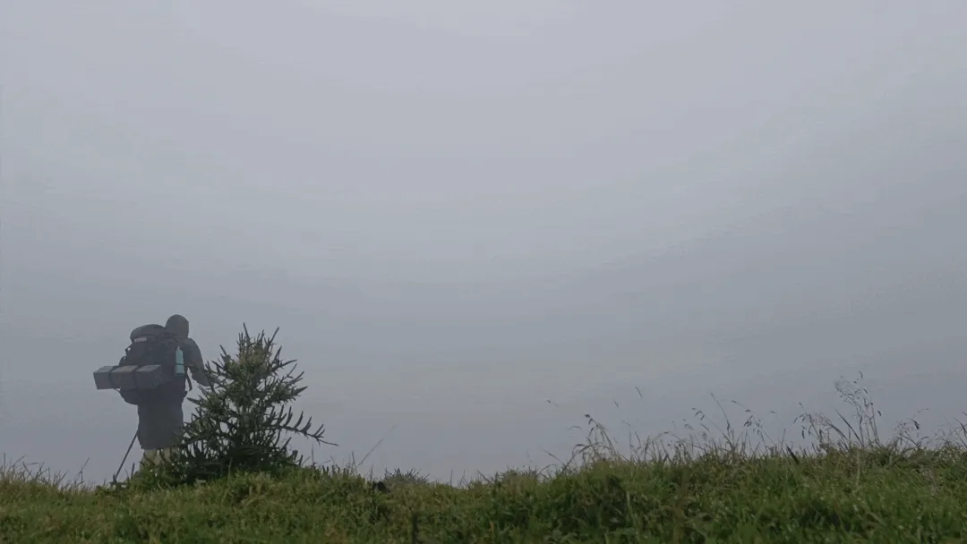 trip