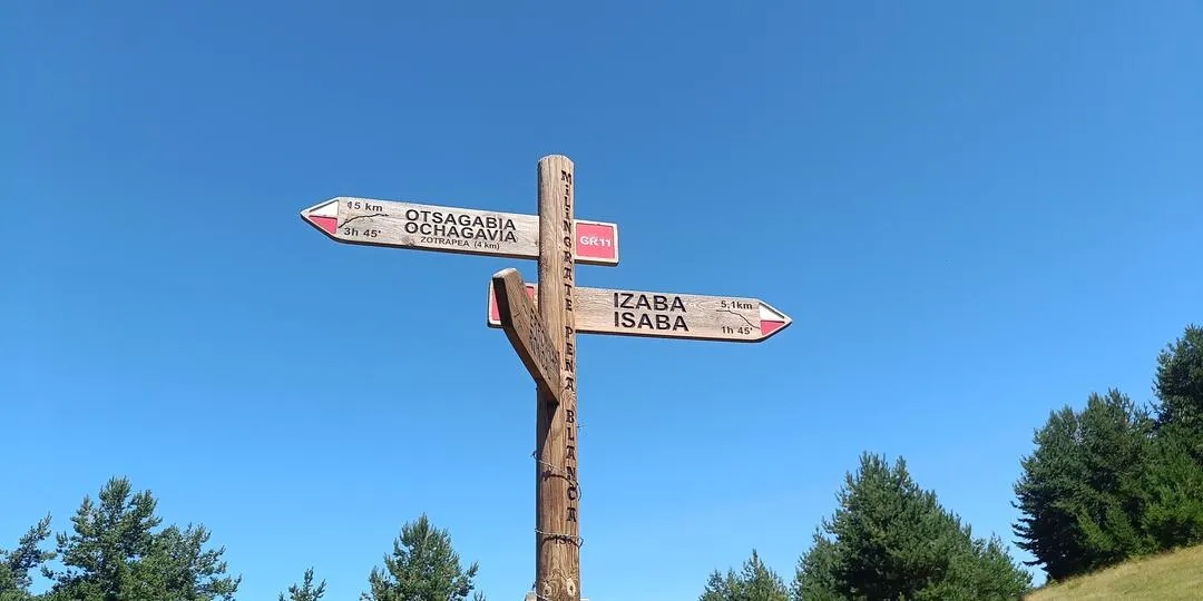 signpost